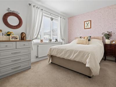 Picture 19